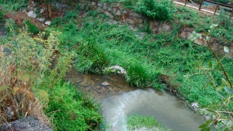 Ecoloxistas en Acci&oacute;n Ourense denuncia a desfeita ambiental realizada arxes do r&iacute;o Barba&ntilde;a ao seu paso pola cidade