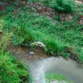 Ecoloxistas en Acción Ourense denuncia a desfeita ambiental realizada arxes do río Barbaña ao seu paso pola cidade