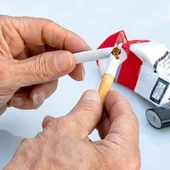 Nueva Zelanda da el primer paso para ilegalizar totalmente el tabaco Nueva Zelanda da el primer paso para ilegalizar totalmente el tabaco