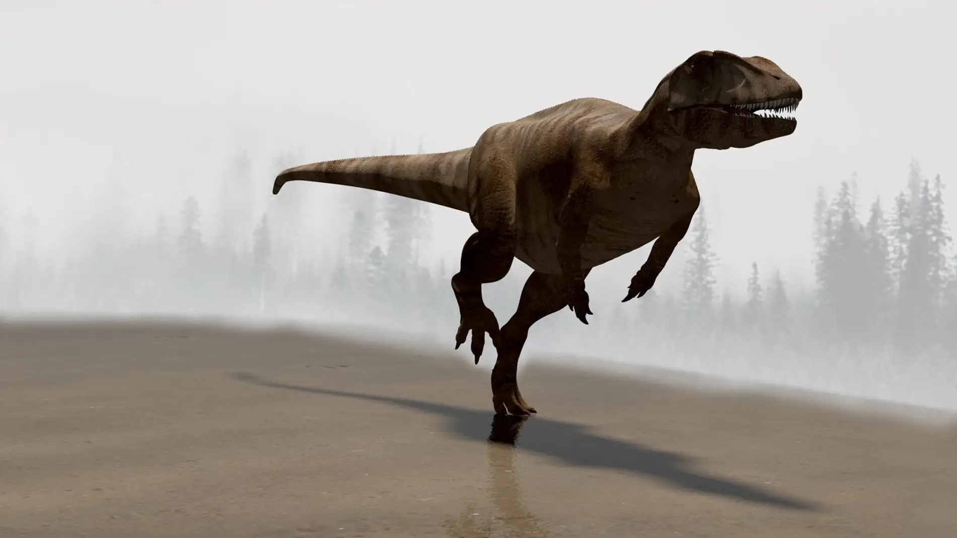 Huellas de dinosaurios riojanos revelan que estaban entre los más veloces del mundo