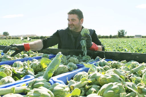 Antº Ángel Hurtado, presidente, se trata de un reconocimiento a cuántos han hecho posible el éxito de nuestra joya de la huerta Antº Ángel Hurtado, presidente, se trata de un reconocimiento a cuántos han hecho posible el éxito de nuestra joya de la huerta