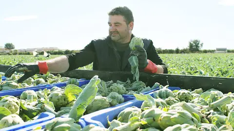 Antº Ángel Hurtado, presidente, se trata de un reconocimiento a cuántos han hecho posible el éxito de nuestra joya de la huerta alcachofa