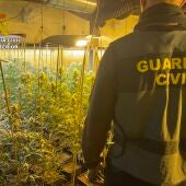 La Guardia Civil desmantela dos plantaciones de marihuana en viviendas de Olías del Rey y Mocejón
