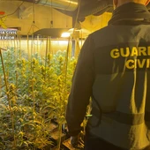 La Guardia Civil desmantela dos plantaciones de marihuana en viviendas de Olías del Rey y Mocejón La Guardia Civil desmantela dos plantaciones de marihuana en viviendas de Olías del Rey y Mocejón