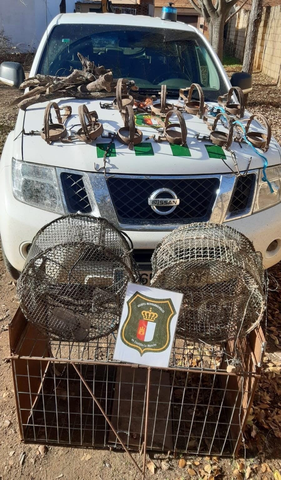 Investigado en Piedrabuena tras encontrar un milano real atrapado en un cepo Investigado en Piedrabuena tras encontrar un milano real atrapado en un cepo