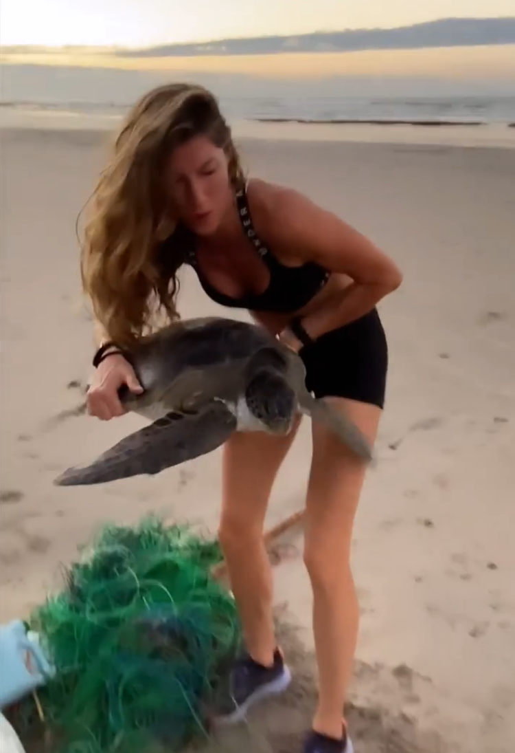 Jairzinho, la tortuga rescatada por Gisele Bündchen: "Hasta los delfines se quieren hacer fotos conmigo" Jairzinho, la tortuga rescatada por Gisele Bündchen: "Hasta los delfines se quieren hacer fotos conmigo"