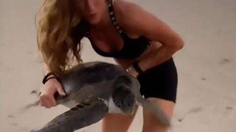 Fotograma del v&iacute;deo de Gisele B&uuml;ndchen rescatando una tortuga marina