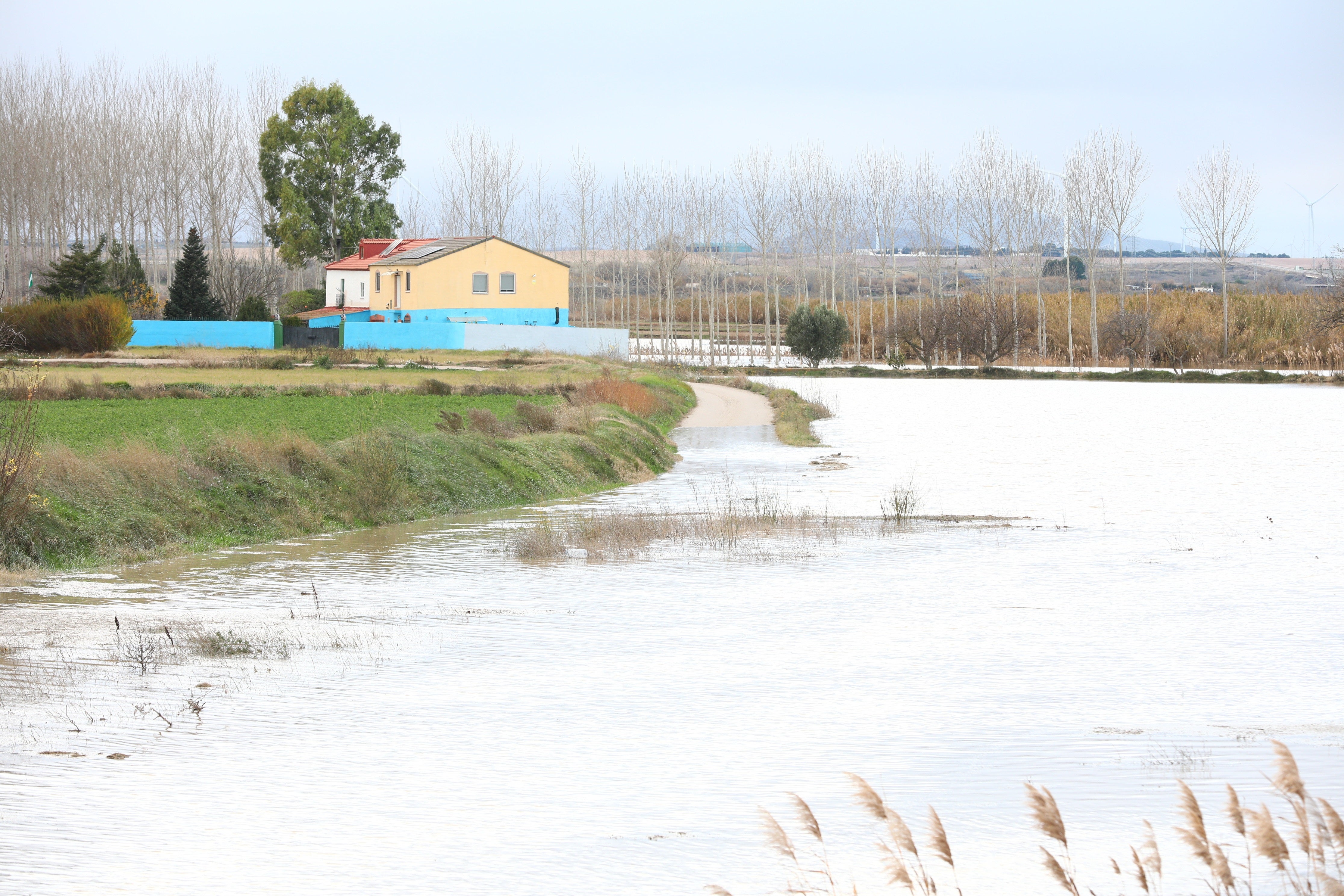 Aragón solicita la declaración de zona catastrófica Aragón solicita la declaración de zona catastrófica