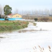 La punta de la crecida del Ebro, en niveles similares a la de 2015