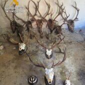 Dos investigados en una operación contra la caza furtiva en la Comarca de Trujillo 