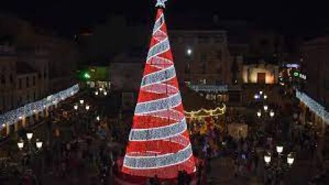 Árbol de Navidad ubicado en la Plaza Mayor Árbol de Navidad ubicado en la Plaza Mayor