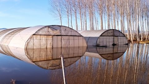 Daños en los cultivos de Calahorra