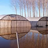 Daños en los cultivos de Calahorra Daños en los cultivos de Calahorra