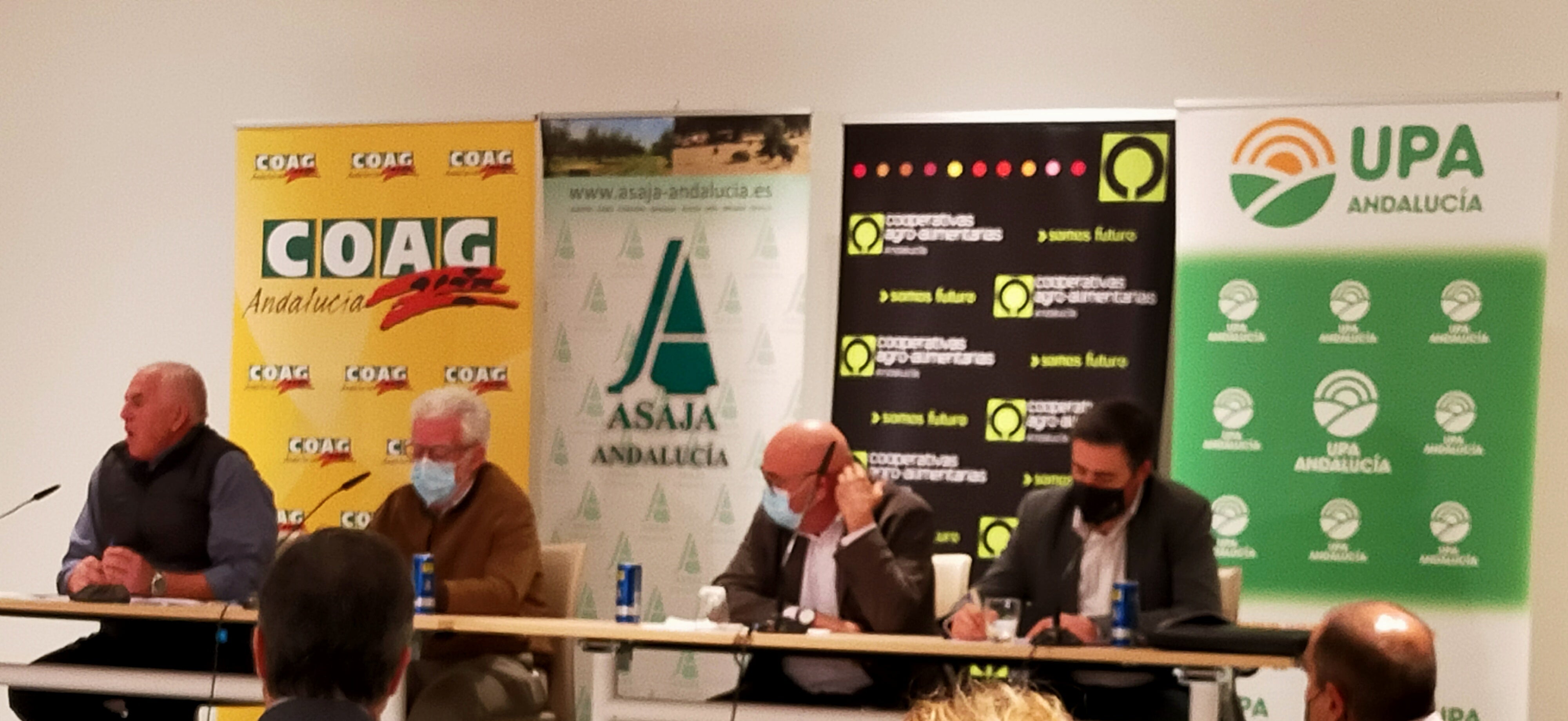 El campo andaluz convoca paro general los días 19, 20 y 21 de enero para luchar contra la reforma de la PAC El campo andaluz convoca paro general los días 19, 20 y 21 de enero para luchar contra la reforma de la PAC