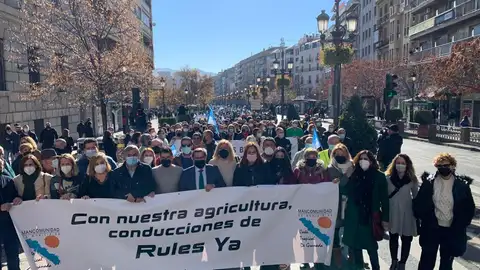 MANIFESTACION GRANADA MANIFESTACION GRANADA