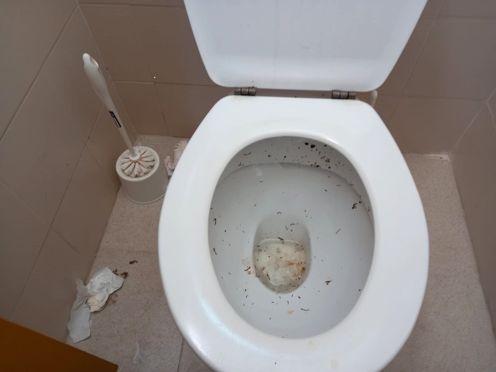 CSIF denuncia la situación de insalubridad que afecta a determinadas instalaciones del Centro Penitenciario de Albocàsser CSIF denuncia la situación de insalubridad que afecta a determinadas instalaciones del Centro Penitenciario de Albocàsser