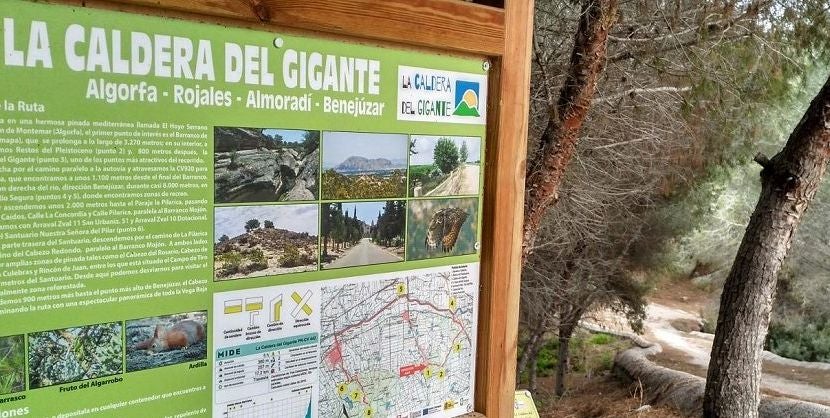 El Consorcio para el Desarrollo Económico de la Vega Baja (Convega) ha llevado a cabo esta serie de actuaciones El Consorcio para el Desarrollo Económico de la Vega Baja (Convega) ha llevado a cabo esta serie de actuaciones