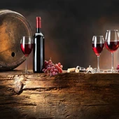 Coloquios del vino Coloquios del vino