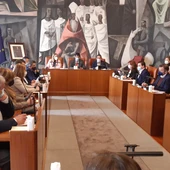 Pleno de la Diputación de Ciudad Real Pleno de la Diputación de Ciudad Real