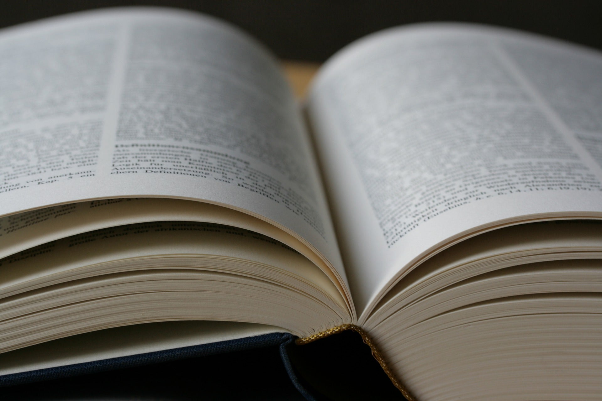 Estas son las doce candidatas a palabra del año de la FundéuRAE Estas son las doce candidatas a palabra del año de la FundéuRAE