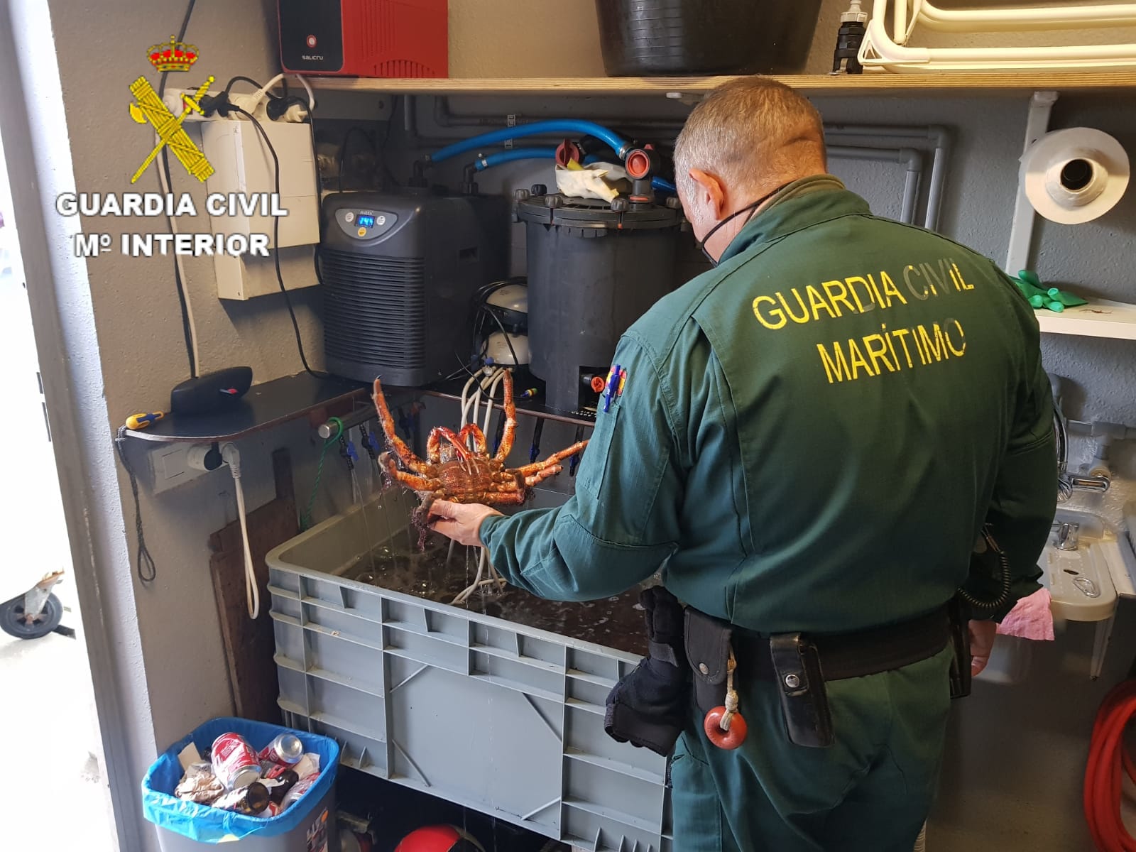 La Guardia Civil aprehendió 69,5 kilogramos de centolla en el puerto de Caión La Guardia Civil aprehendió 69,5 kilogramos de centolla en el puerto de Caión