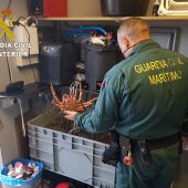 La Guardia Civil aprehendió 69,5 kilogramos de centolla en el puerto de Caión