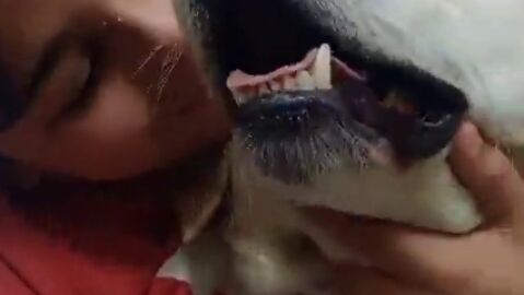 Toby, un perro que se lo pasa muy bien todos los días