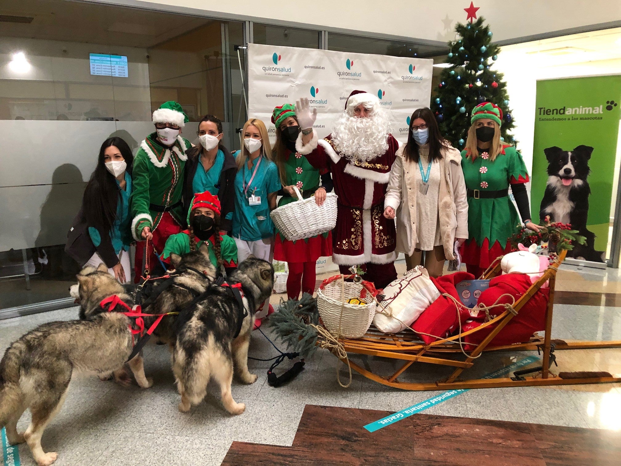 Los pacientes de Quirónsalud Málaga reciben la visita de Papá Noel en trineo guiado por sus perros Los pacientes de Quirónsalud Málaga reciben la visita de Papá Noel en trineo guiado por sus perros