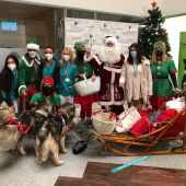 Los pacientes de Quirónsalud Málaga reciben la visita de Papá Noel en trineo guiado por sus perros