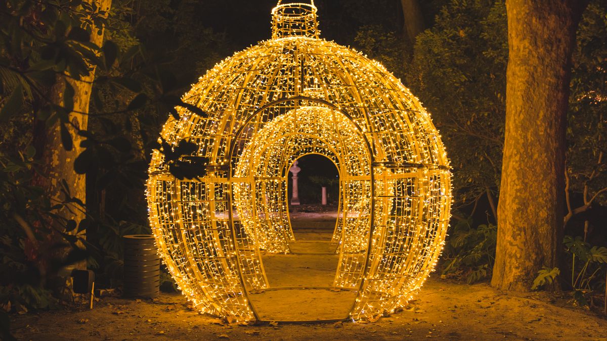 Las luces del Botánico siguen brillando hasta el 9 de enero Las luces del Botánico siguen brillando hasta el 9 de enero