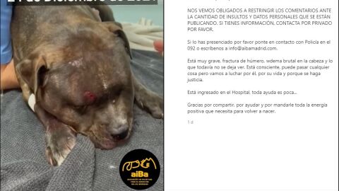 Captura de pantalla del perro lanzado por la ventana de un quinto piso en Valdemoro (Madrid)