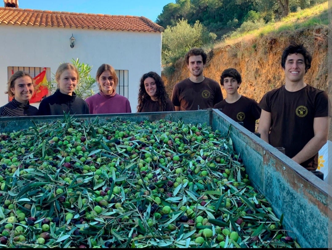 Juventud Protectora. Amar es servir con alegría. Juventud Protectora. Amar es servir con alegría.