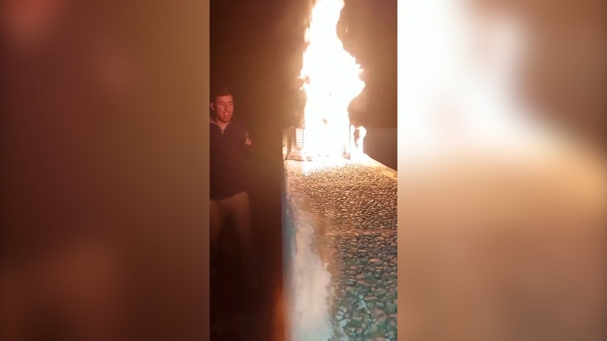 Investigado dos jóvenes por encerrar en una jaula a una rata viva y prenderle fuego Investigado dos jóvenes por encerrar en una jaula a una rata viva y prenderle fuego