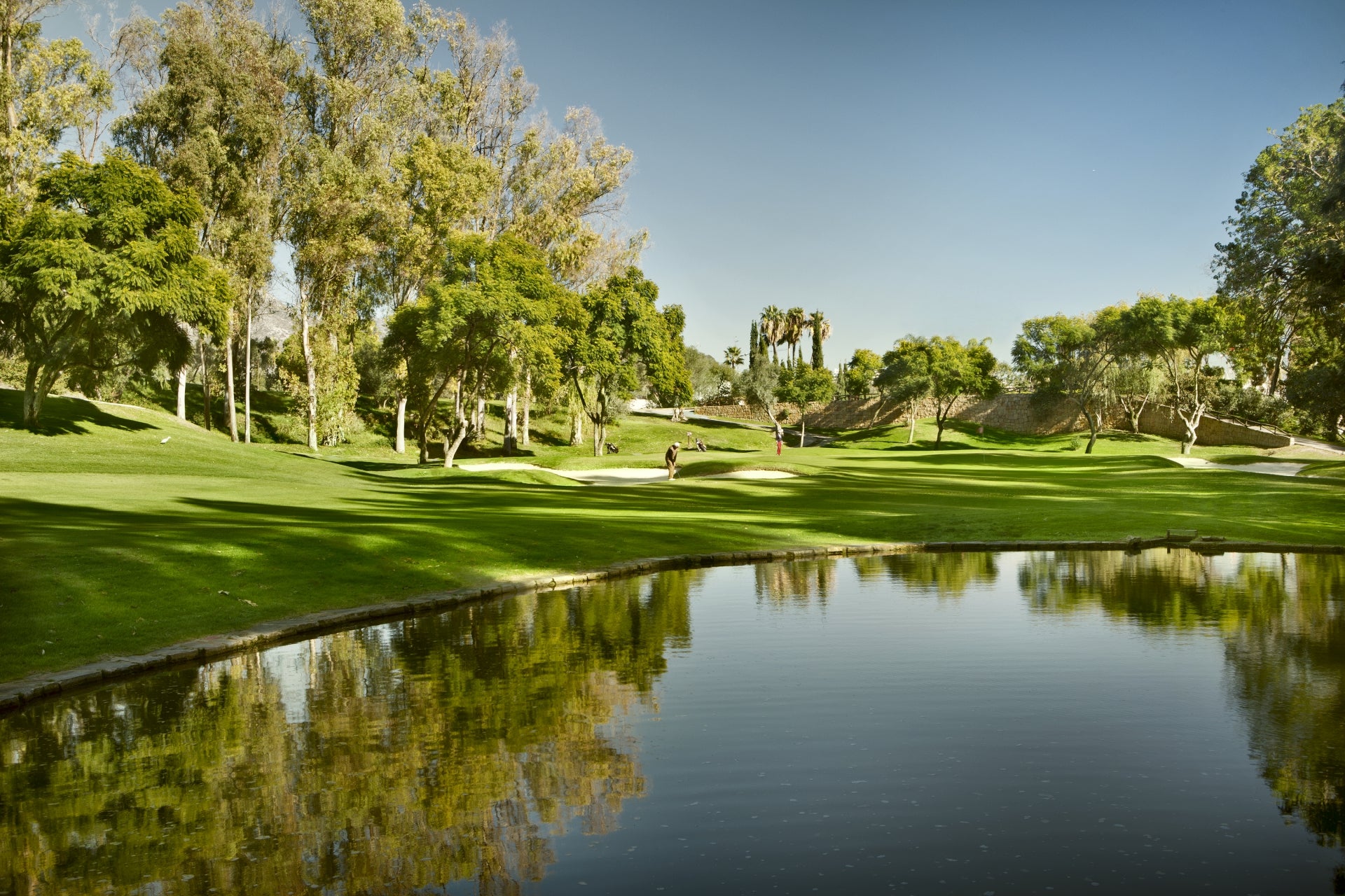 Los hoteles de Marbella señalan ocupaciones de hasta el 92% en septiembre Los hoteles de Marbella señalan ocupaciones de hasta el 92% en septiembre