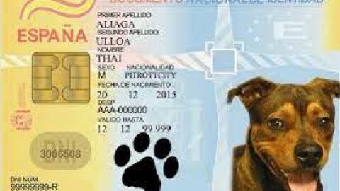 canino
