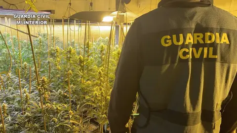 Cuatro detenidos en Lebrija por una plantación interior de marihuana junto a una guardería Cuatro detenidos en Lebrija por una plantación interior de marihuana junto a una guardería