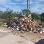 La concejal delegada del área solicita la colaboración ciudadana para combatir esta practica que perjudica al Medio Ambiente La concejal delegada del área solicita la colaboración ciudadana para combatir esta practica que perjudica al Medio Ambiente