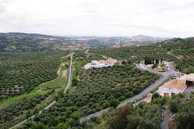 Proyectos de turismo sostenible Proyectos de turismo sostenible