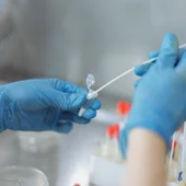 Realización de una PCR Realización de una PCR