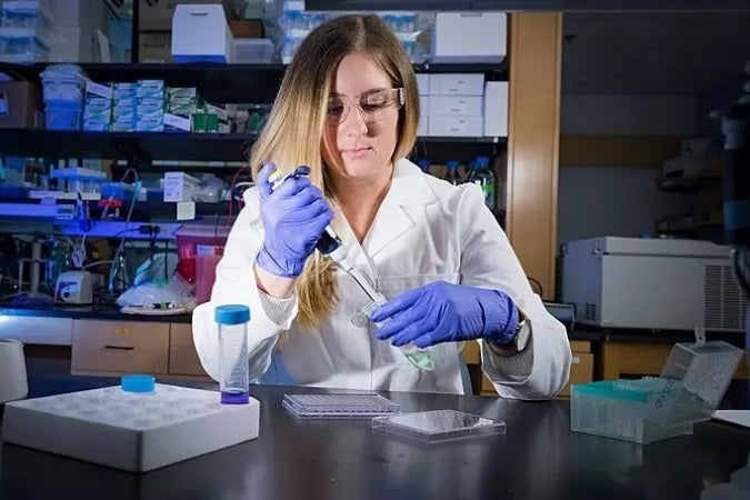 Un fármaco puede frenar el cáncer más agresivo de útero, según revela una investigación Un fármaco puede frenar el cáncer más agresivo de útero, según revela una investigación