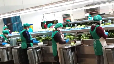 Comercializadoras agrícolas piden a la Junta el pasaporte covid para acceder a centros de trabajo ONDA CERO ALMERIA