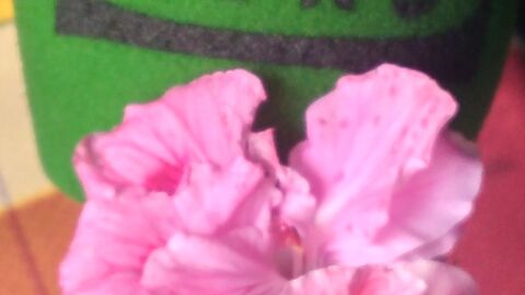 Onda Cero C&oacute;rdoba