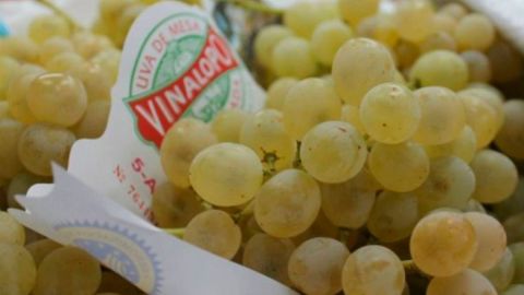 Uvas