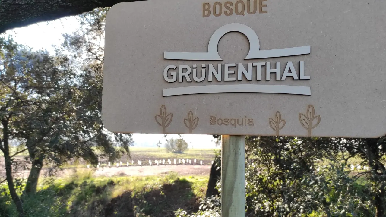 Un bosque con 1.500 árboles absorberá 200 toneladas de CO2 en Córdoba