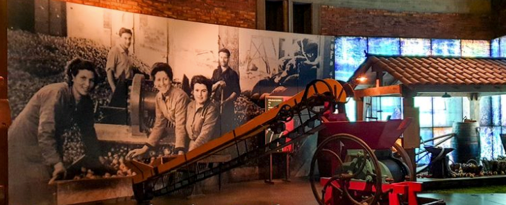 La Comarca de la Sidra dispondrá de 3.325.000 euros para el desarrollo de del plan de sostenibilidad turística en destino La Comarca de la Sidra dispondrá de 3.325.000 euros para el desarrollo de del plan de sostenibilidad turística en destino