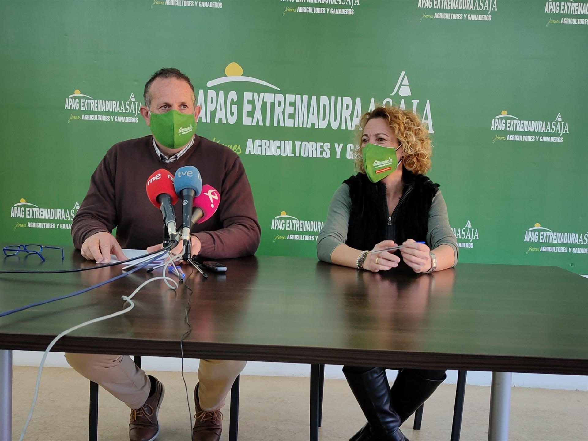 La ciruela y la uva han sido los cultivos peor parados en 2021 La ciruela y la uva han sido los cultivos peor parados en 2021
