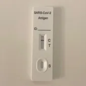 Imagen de un test de antígenos negativo Imagen de un test de antígenos negativo