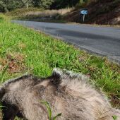 A Deputación desenvolve un proxecto de seguridade viaria nas estradas provinciais