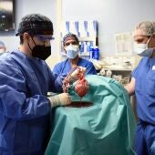 Fotografía cedida por la Facultad de Medicina de la Universidad de Maryland (EE.UU.) que muestra al cirujano Muhammad M. Mohiuddin (c) liderando un equipo mientras manejan un corazón cerdo genéticamente modificado en el Centro Médico de la Universidad de Maryland en Baltimore, Maryland (EE.UU.)