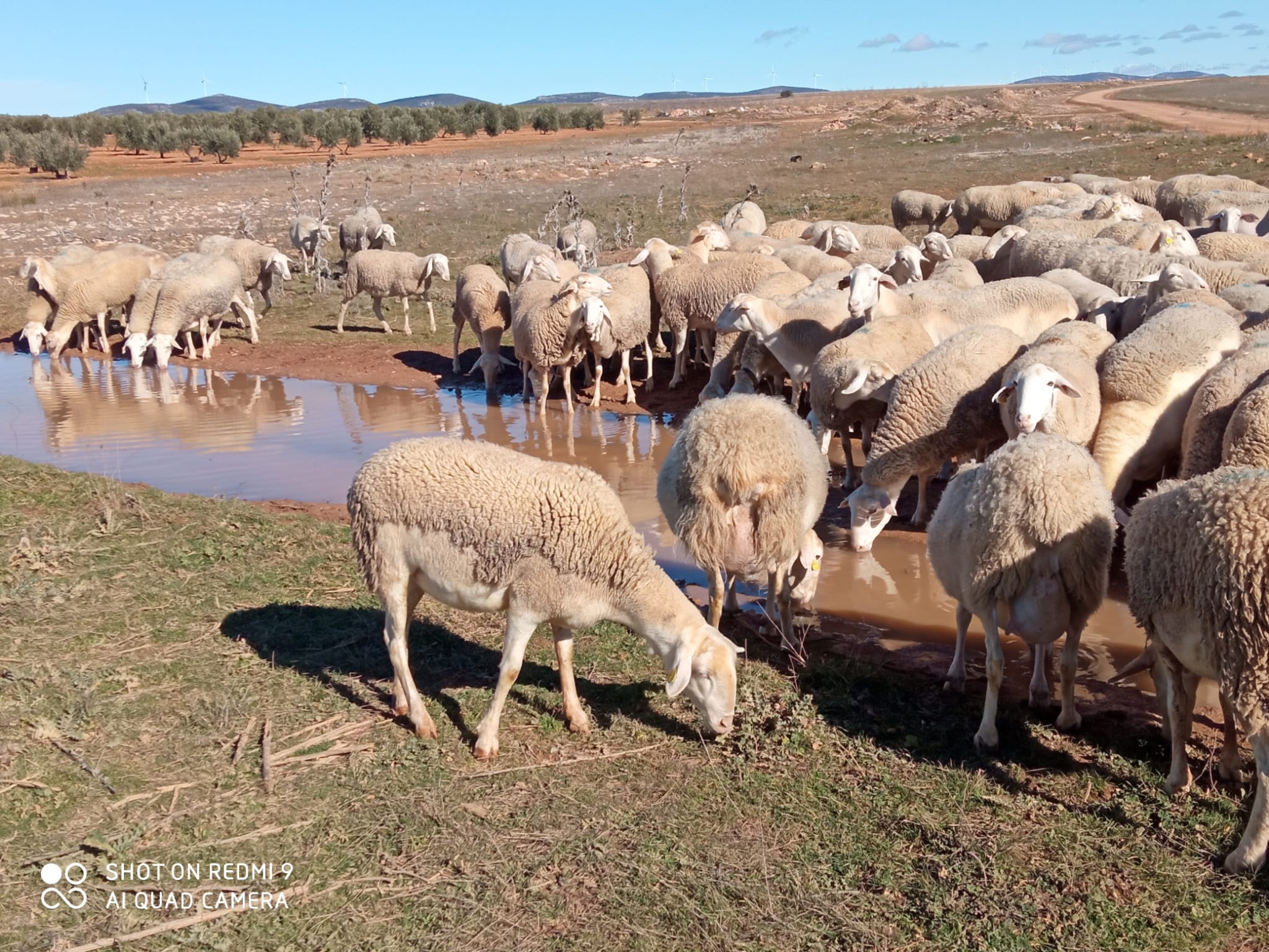 Buscando un bien nos pasamos de rosca Buscando un bien nos pasamos de rosca